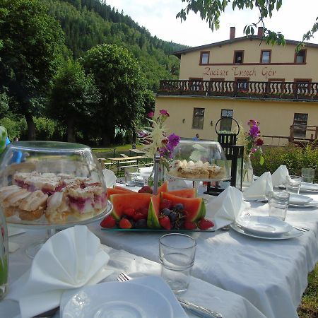 Zacisze Trzech Gor Villa Jedlina-Zdroj Exteriör bild