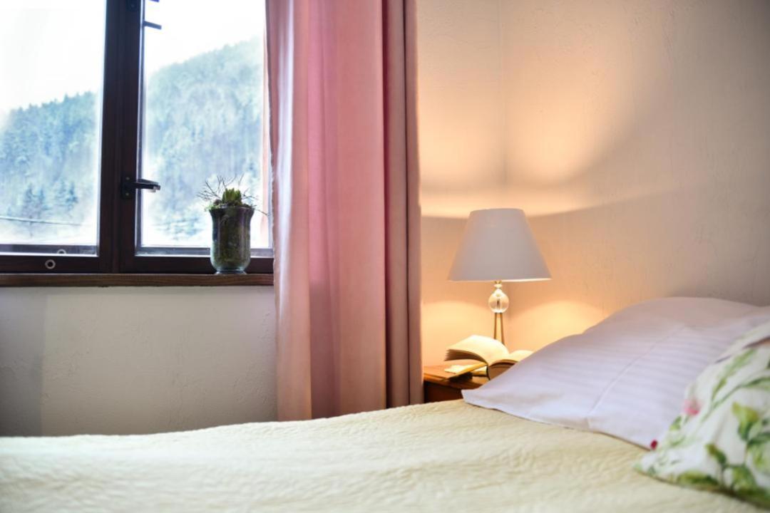 Zacisze Trzech Gor Villa Jedlina-Zdroj Exteriör bild