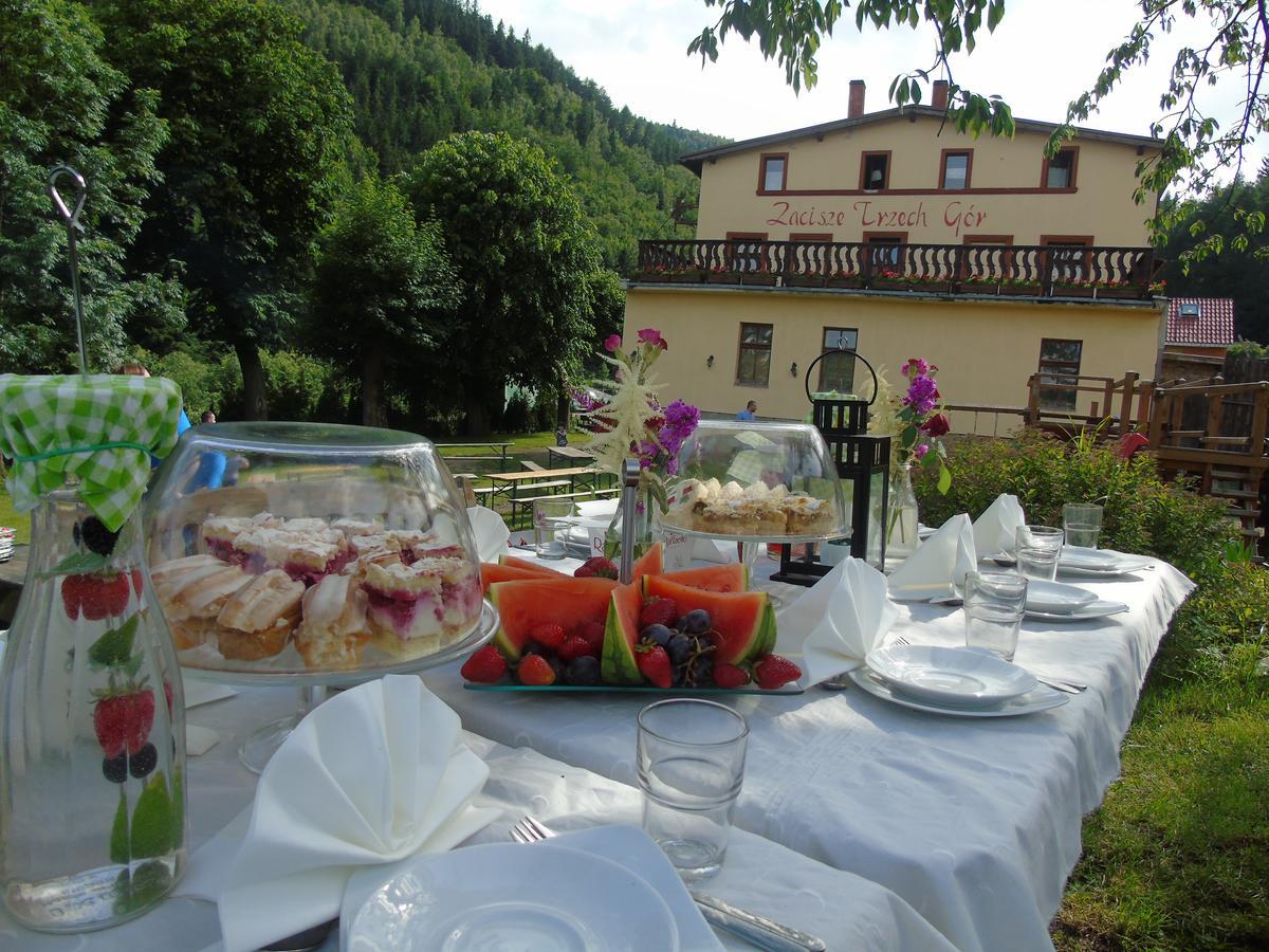 Zacisze Trzech Gor Villa Jedlina-Zdroj Exteriör bild