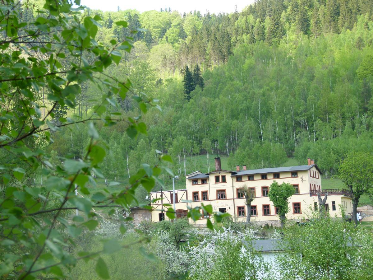 Zacisze Trzech Gor Villa Jedlina-Zdroj Exteriör bild