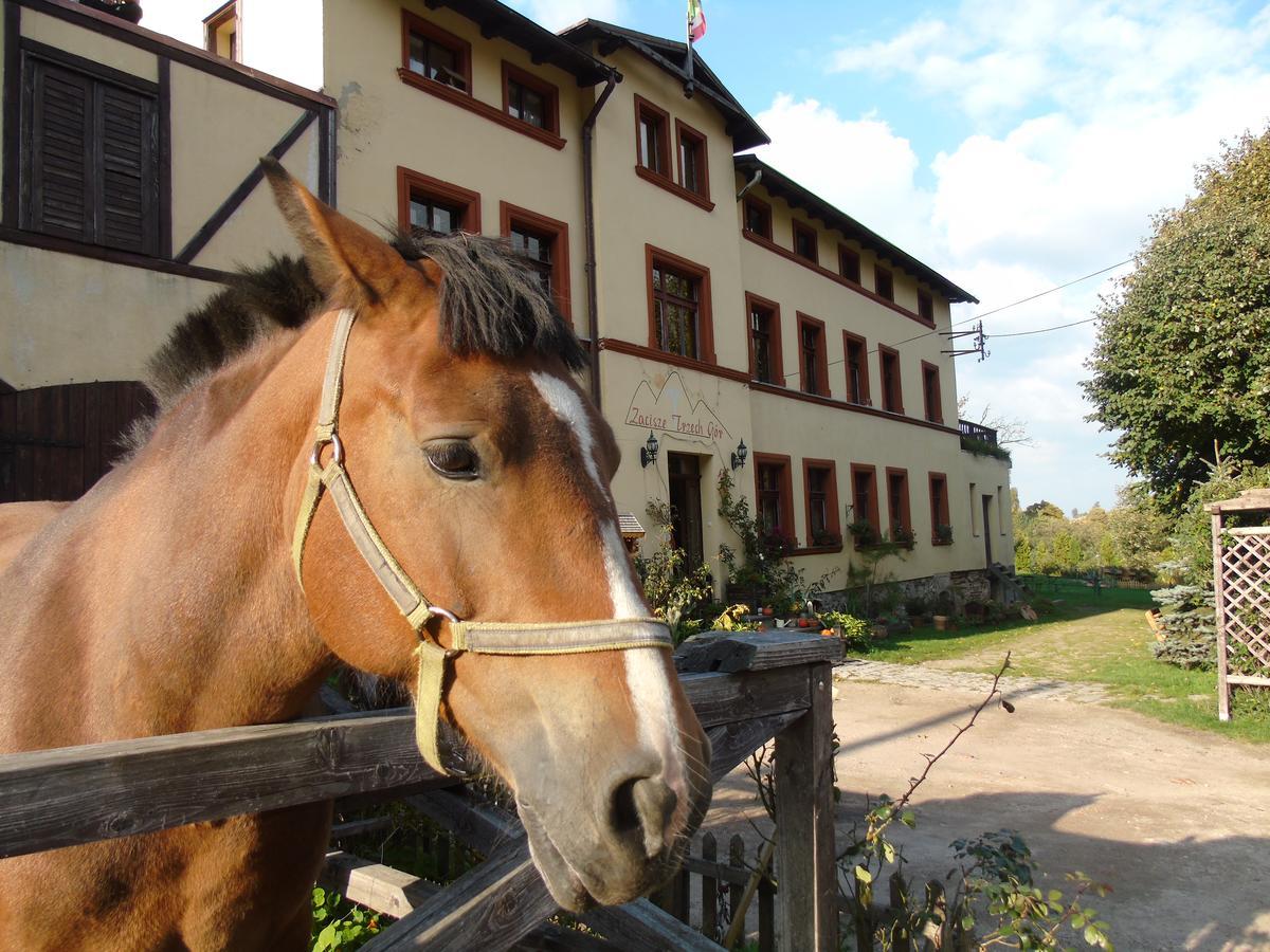 Zacisze Trzech Gor Villa Jedlina-Zdroj Exteriör bild