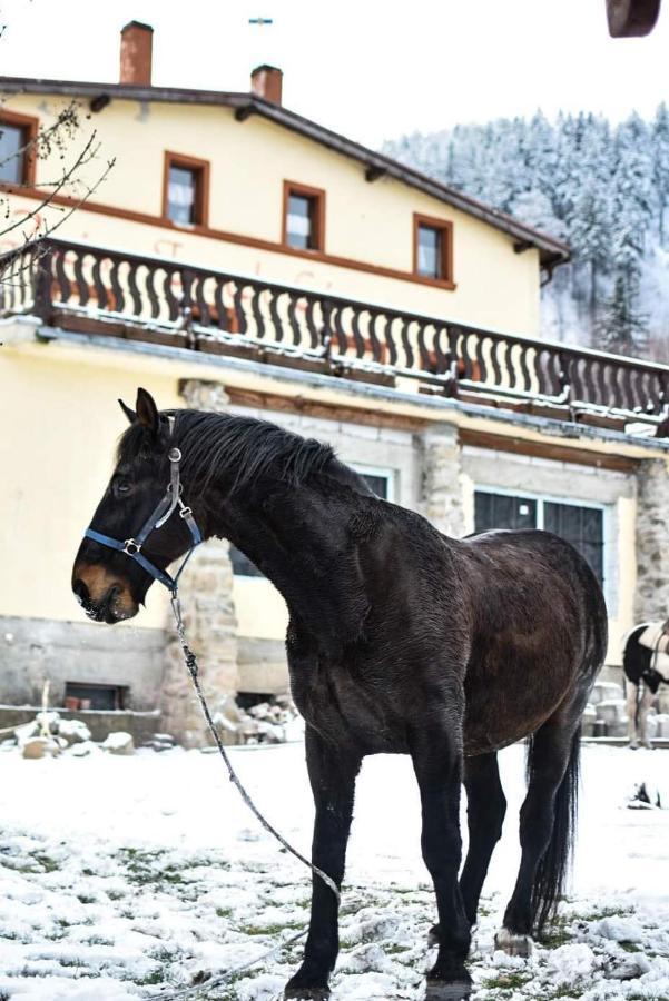 Zacisze Trzech Gor Villa Jedlina-Zdroj Exteriör bild