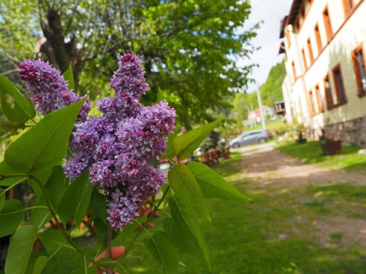 Zacisze Trzech Gor Villa Jedlina-Zdroj Exteriör bild